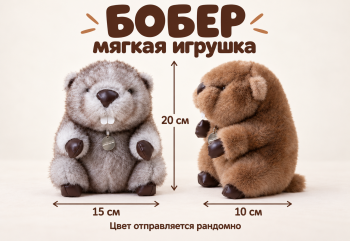 им Бобер арт. 2560-23 Двухцветный двузубый с медальоном 20 см цвета микс в пак.