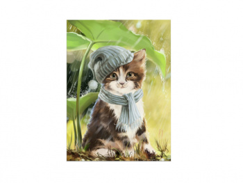 Картина по номерам арт. RAS20974 Котенок в шапке 20*30 в кор.