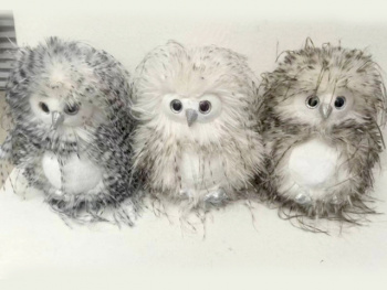 им Сова арт. 209070 Мохнатая белое брюшко 25 см в пак.